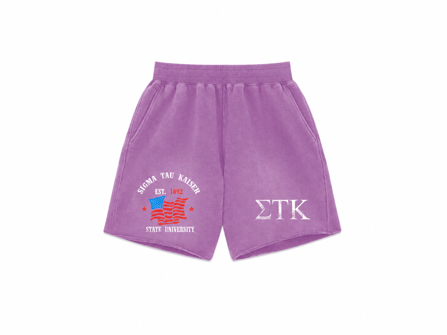 Varsity Shorts - Purple