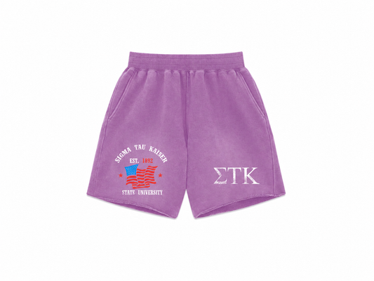 Varsity Shorts - Purple